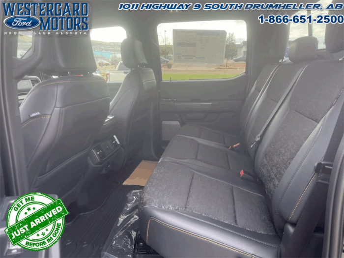 2025 Ford F-150 Tremor  5.0L V8 - Image 7