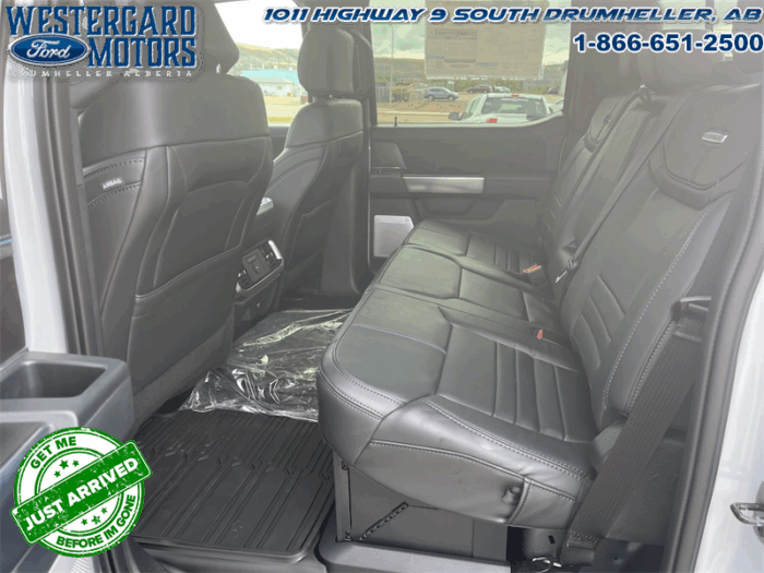 2025 Ford F-150 Platinum - Image 7