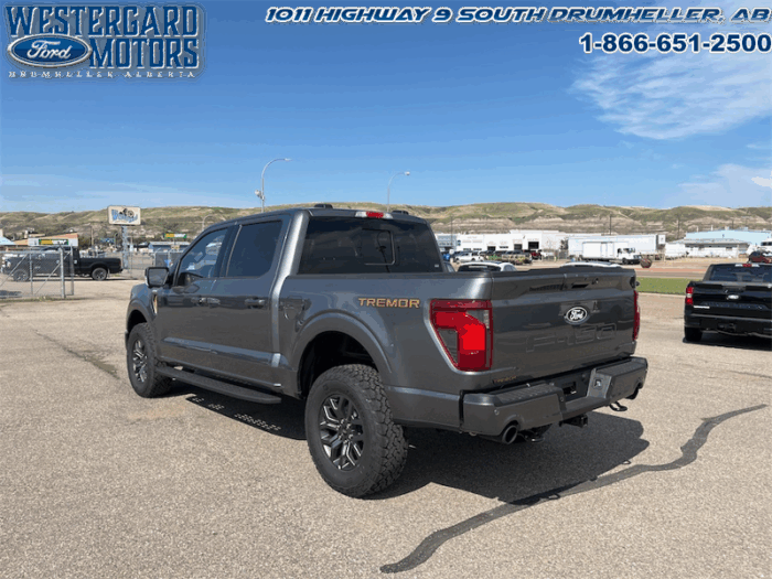2025 Ford F-150 Tremor  5.0L V8 - Image 7