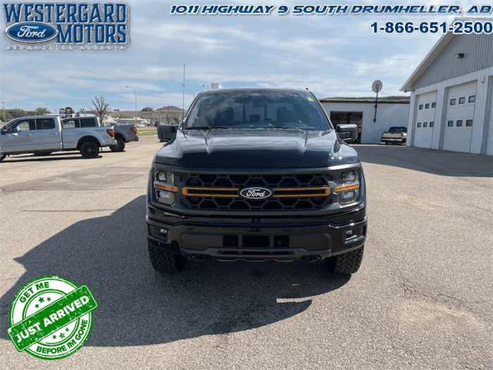 2025 Ford F-150 Tremor  5.0L V8 - Image 29