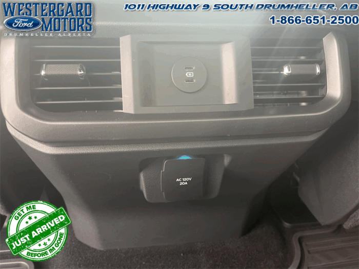 2025 Ford F-150 Tremor  5.0L V8 - Image 8