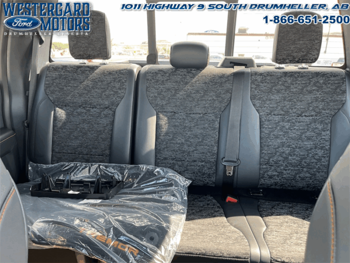 2025 Ford F-150 Tremor  5.0L V8 - Image 8