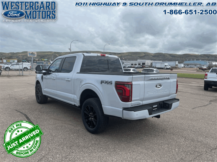 2025 Ford F-150 Platinum - Image 9
