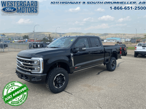Used Crew Cab 2025 Ford F-350 Super Duty W3B Darkened Bronze Metallic