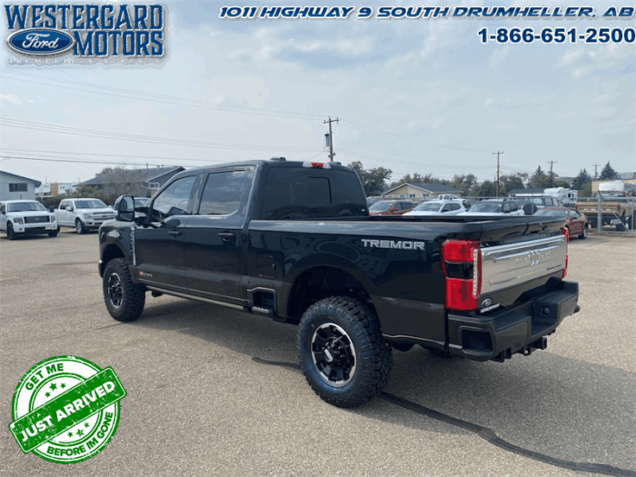 2025 Ford F-350 Super Duty KING RANCH  Tremor - Image 3