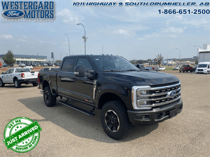 2025 Ford F-350 Super Duty KING RANCH  Tremor - Image 7