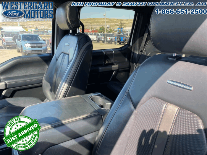 2021 Ford F-350 Super Duty Platinum - Image 10