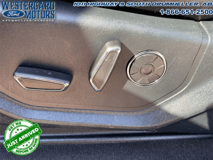 2021 Ford F-350 Super Duty Platinum - Image 21