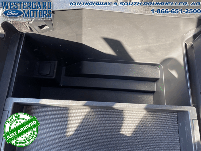 2021 Ford F-350 Super Duty Platinum - Image 24