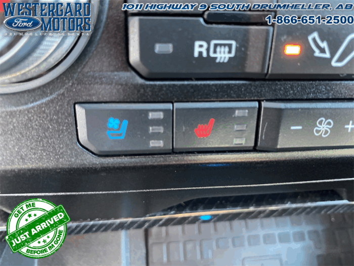 2021 Ford F-350 Super Duty Platinum - Image 29