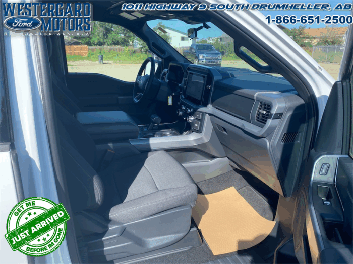 2025 Ford F-150 XLT  - 18" Wheels - Image 13