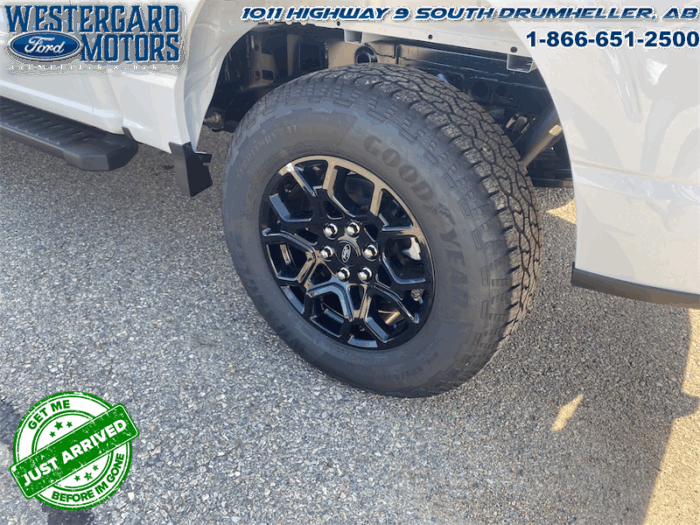 2025 Ford F-150 XLT  - 18" Wheels - Image 17