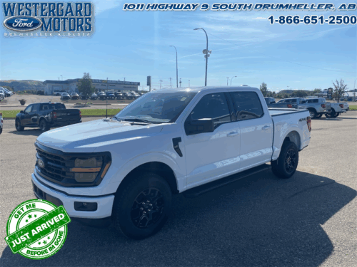 Used Crew Cab 2025 Ford F-150 W3L Oxford White