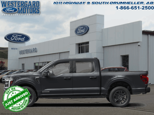 Used Crew Cab 2025 Ford F-150 W7L Agate Black Metallic