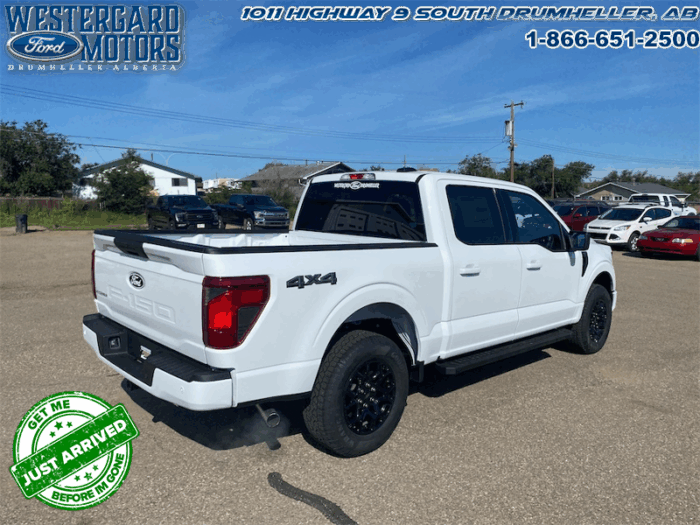 2025 Ford F-150 XLT  - 18" Wheels - Image 5