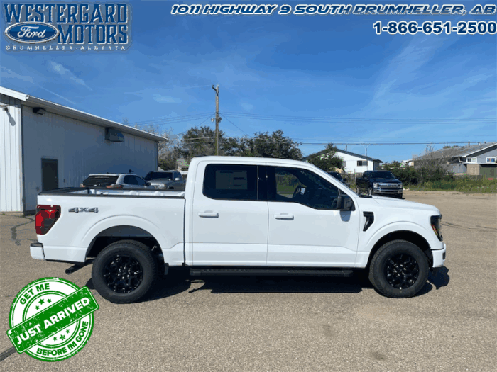 2025 Ford F-150 XLT  - 18" Wheels - Image 6