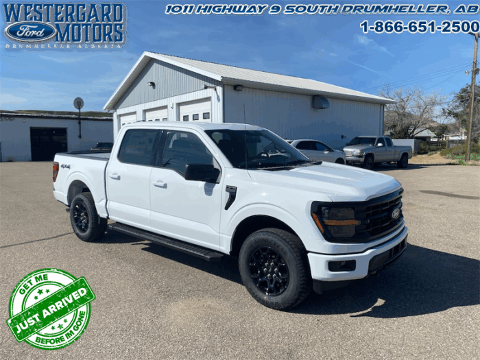 2025 Ford F-150 XLT  - 18" Wheels - Image 7