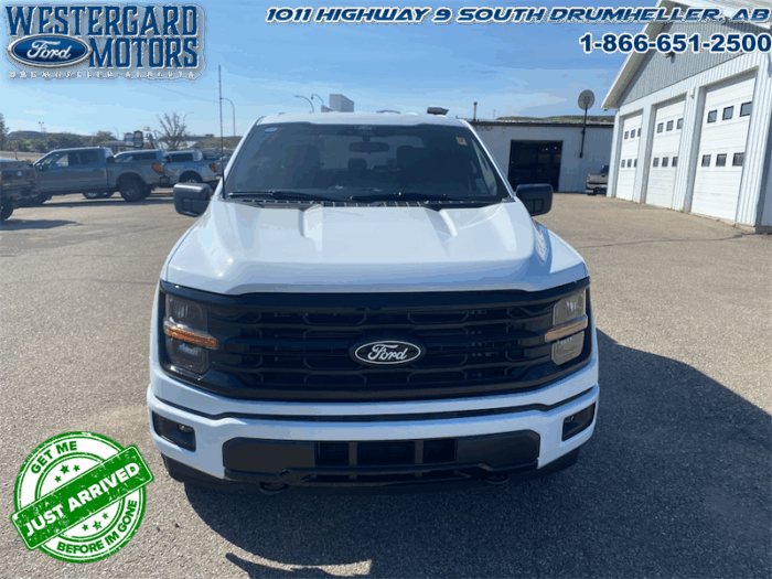 2025 Ford F-150 XLT  - 18" Wheels - Image 8