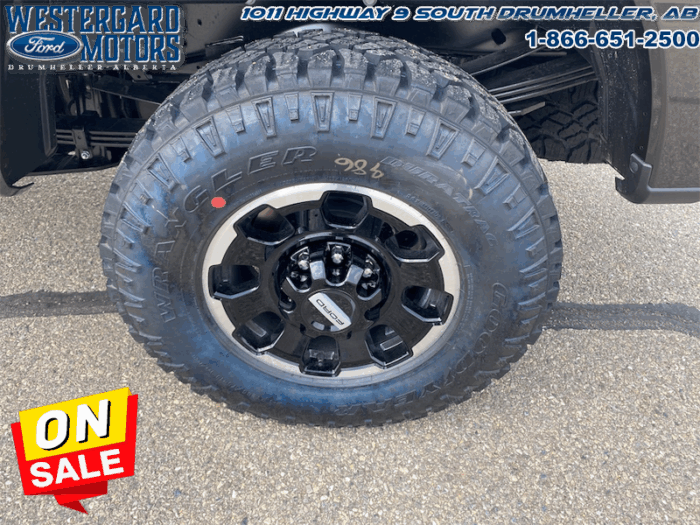 2025 Ford F-350 Super Duty King Ranch  Tremor - Image 18