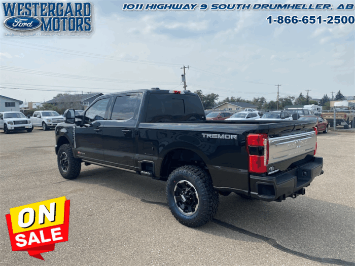 2025 Ford F-350 Super Duty King Ranch  Tremor - Image 3