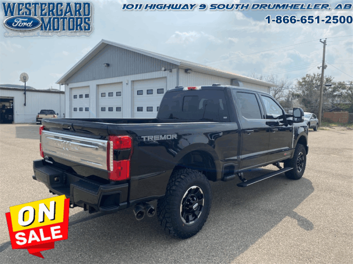 2025 Ford F-350 Super Duty King Ranch  Tremor - Image 5