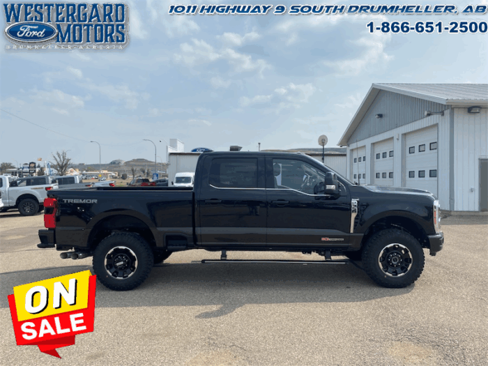 2025 Ford F-350 Super Duty King Ranch  Tremor - Image 6