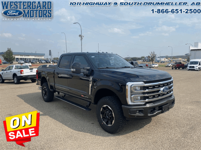 2025 Ford F-350 Super Duty King Ranch  Tremor - Image 7