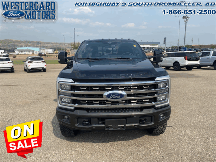 2025 Ford F-350 Super Duty King Ranch  Tremor - Image 8