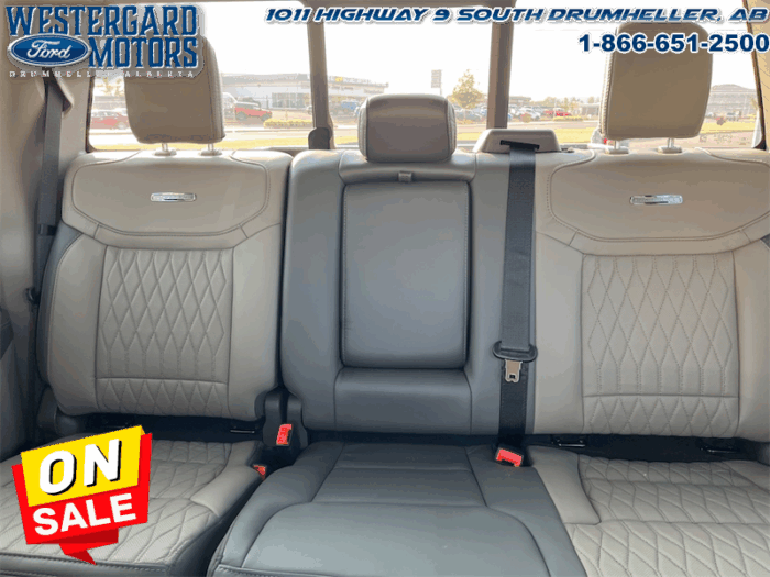 2025 Ford F-150 Platinum  - Leather Seats - 22" Wheels - Image 11