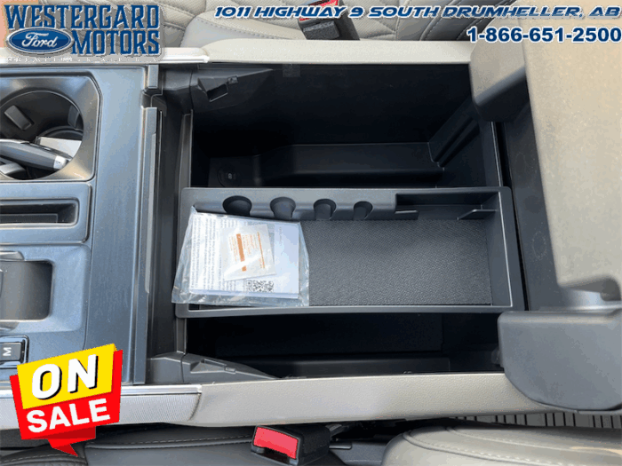 2025 Ford F-150 Platinum  - Leather Seats - 22" Wheels - Image 15