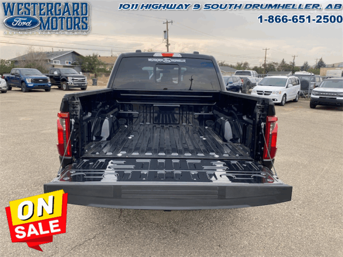 2025 Ford F-150 XLT  - 18" Wheels - Image 16