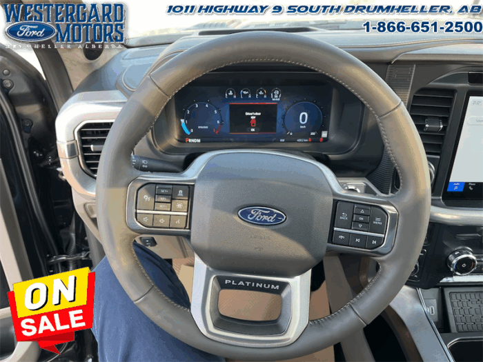 2025 Ford F-150 Platinum  - Leather Seats - 22" Wheels - Image 17