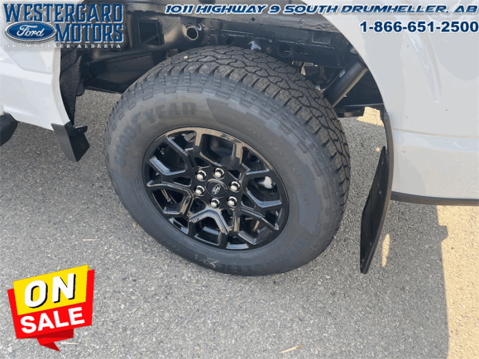 2025 Ford F-150 XLT  - 18" Wheels - Image 17