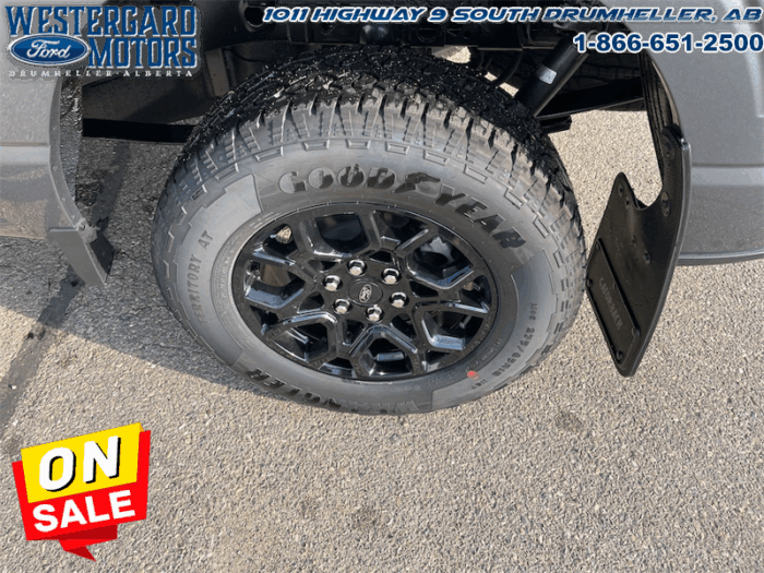 2025 Ford F-150 XLT  - 18" Wheels - Image 17