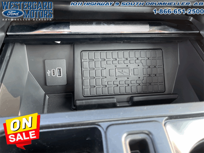 2025 Ford F-150 Platinum  - Leather Seats - 22" Wheels - Image 18