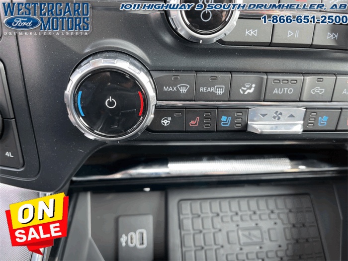 2025 Ford F-150 Platinum  - Leather Seats - 22" Wheels - Image 19