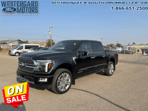 Used Crew Cab 2025 Ford F-150 W7L Agate Black Metallic