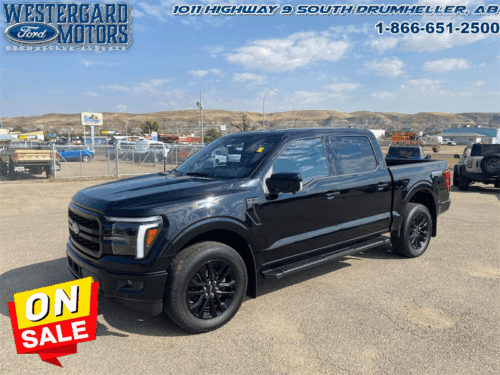 Used Crew Cab 2025 Ford F-150 W5L Agate Black Metallic