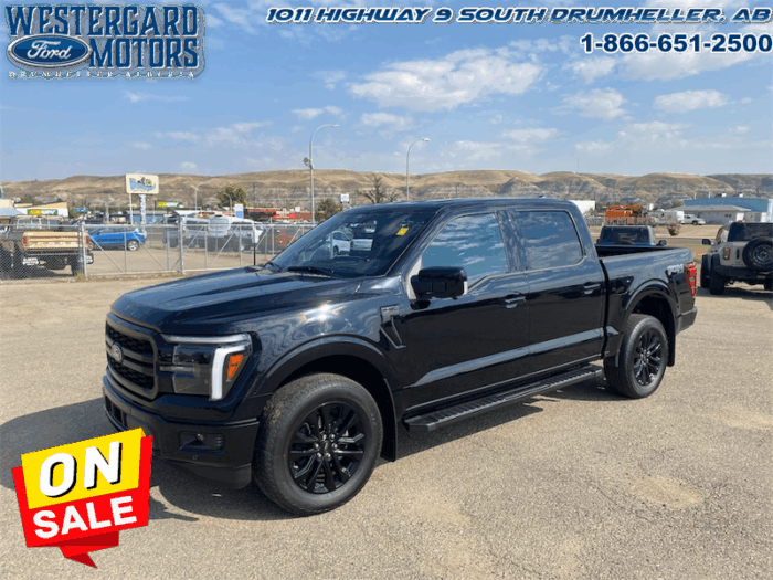 Used Crew Cab 2025 Ford F-150 W5L Agate Black Metallic