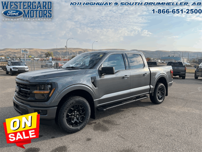Used Crew Cab 2025 Ford F-150 W3L Carbonized Grey Metallic