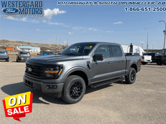 Used Crew Cab 2025 Ford F-150 W3L Carbonized Grey Metallic