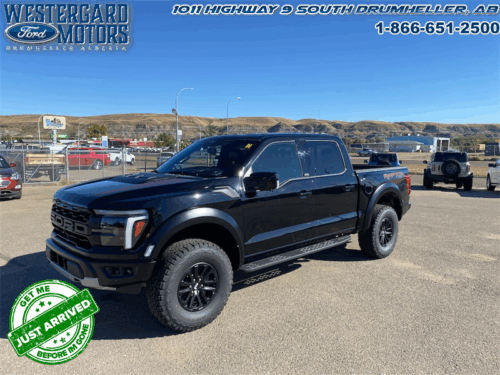 Used Crew Cab 2025 Ford F-150 W1R Agate Black