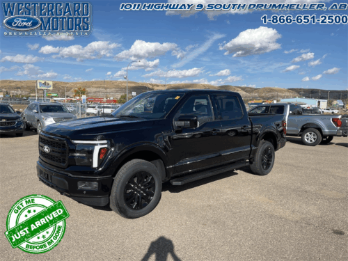 Used Crew Cab 2025 Ford F-150 W5L Agate Black Metallic