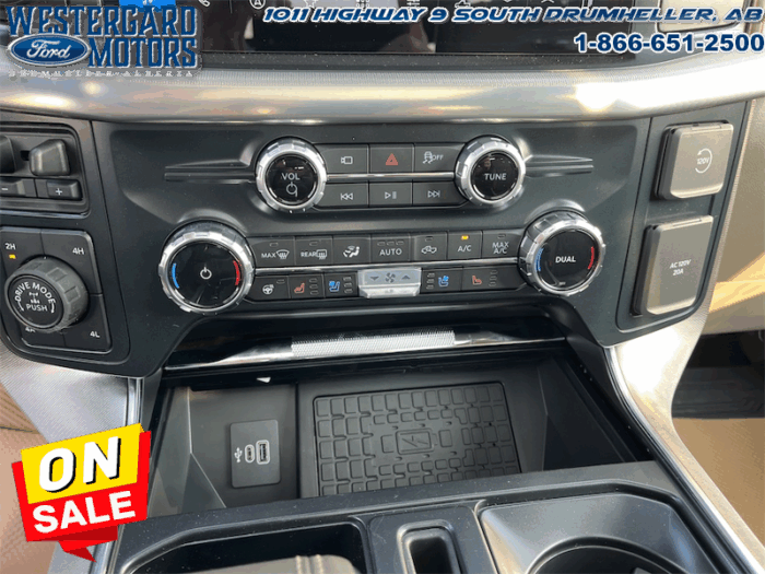 2025 Ford F-150 Platinum  - Leather Seats - 22" Wheels - Image 20