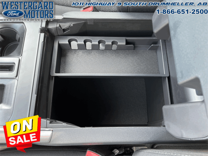 2025 Ford F-150 XLT  - 18" Wheels - Image 21