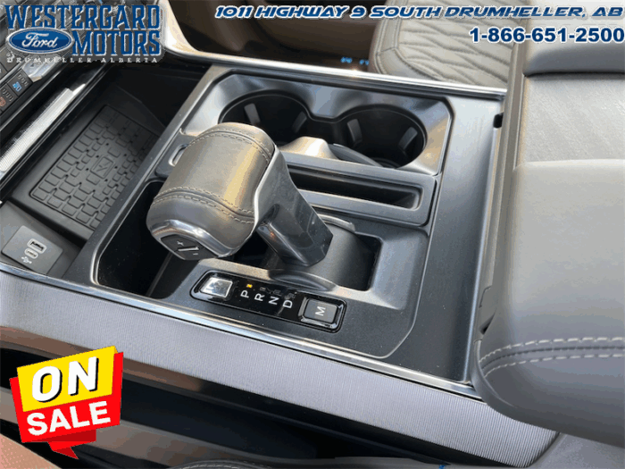 2025 Ford F-150 Platinum  - Leather Seats - 22" Wheels - Image 22