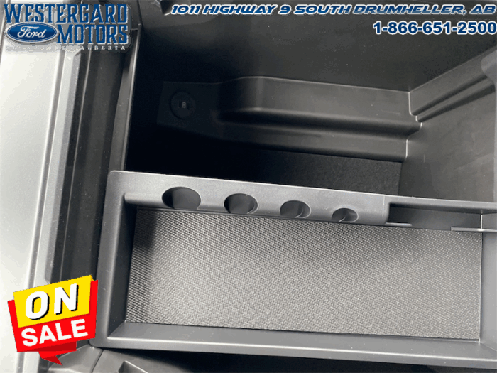 2025 Ford F-150 XLT  - 18" Wheels - Image 22