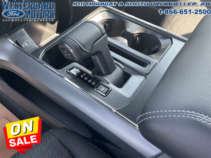 2025 Ford F-150 XLT  - 18" Wheels - Image 23