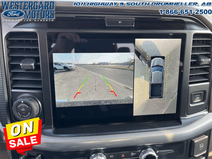 2025 Ford F-150 Platinum  - Leather Seats - 22" Wheels - Image 24