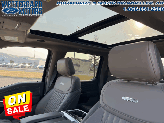 2025 Ford F-150 Platinum  - Leather Seats - 22" Wheels - Image 25
